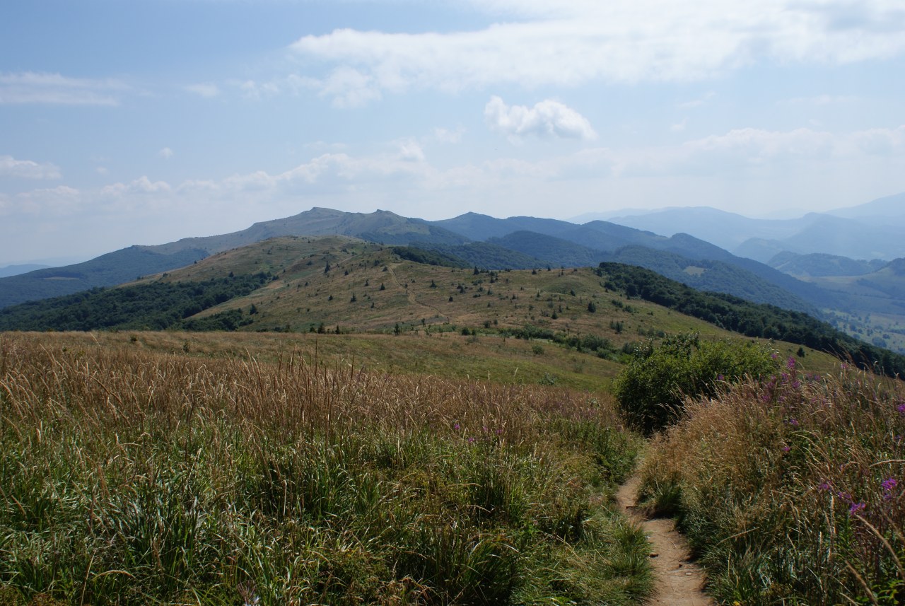 Bieszczadzki N.P.